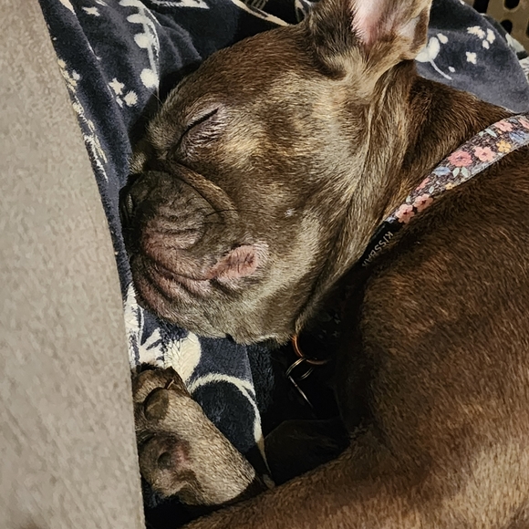 Meet your Posher, Jenni - Picture 2 of 4